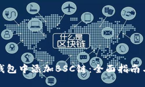 如何在TP钱包中添加BSC链：全面指南与实用技巧