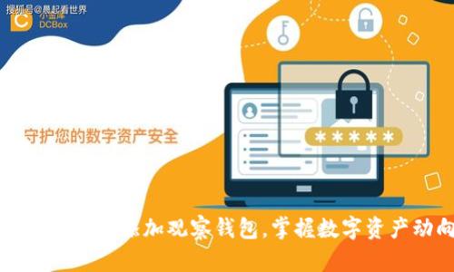 如何通过TP添加观察钱包，掌握数字资产动向