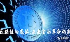 揭秘区块链的威派：未来