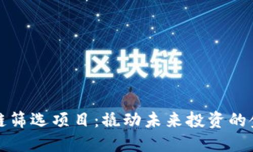 区块链筛选项目：撬动未来投资的金钥匙