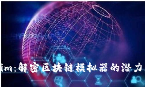Tokenim：解密区块链模拟器的潜力与应用
