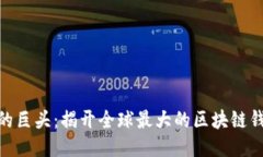 : 区块链钱包的巨头：揭开