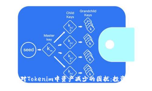 如何应对Tokenim中资产减少的困扰：投资者的指南